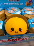 Solid Dumpling
